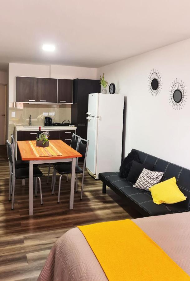 Apartament Departamento Monoambiente, A Metros De Peatonal Sarmiento Mendoza Zewnętrze zdjęcie