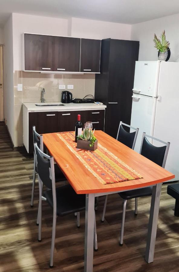 Apartament Departamento Monoambiente, A Metros De Peatonal Sarmiento Mendoza Zewnętrze zdjęcie
